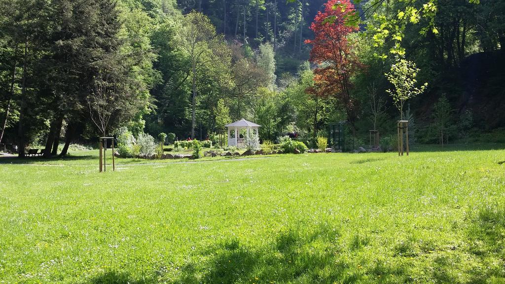 Kurhotel Quellenhof Bad Bertrich Exteriér fotografie